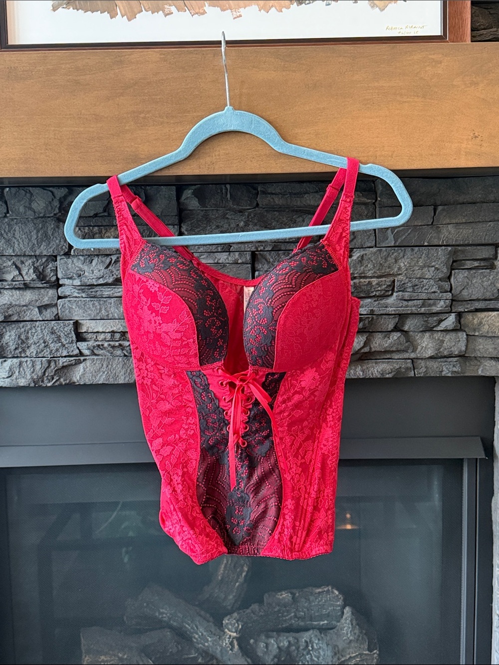 La Vie En Rose Red Lace Bustier with Black Accents